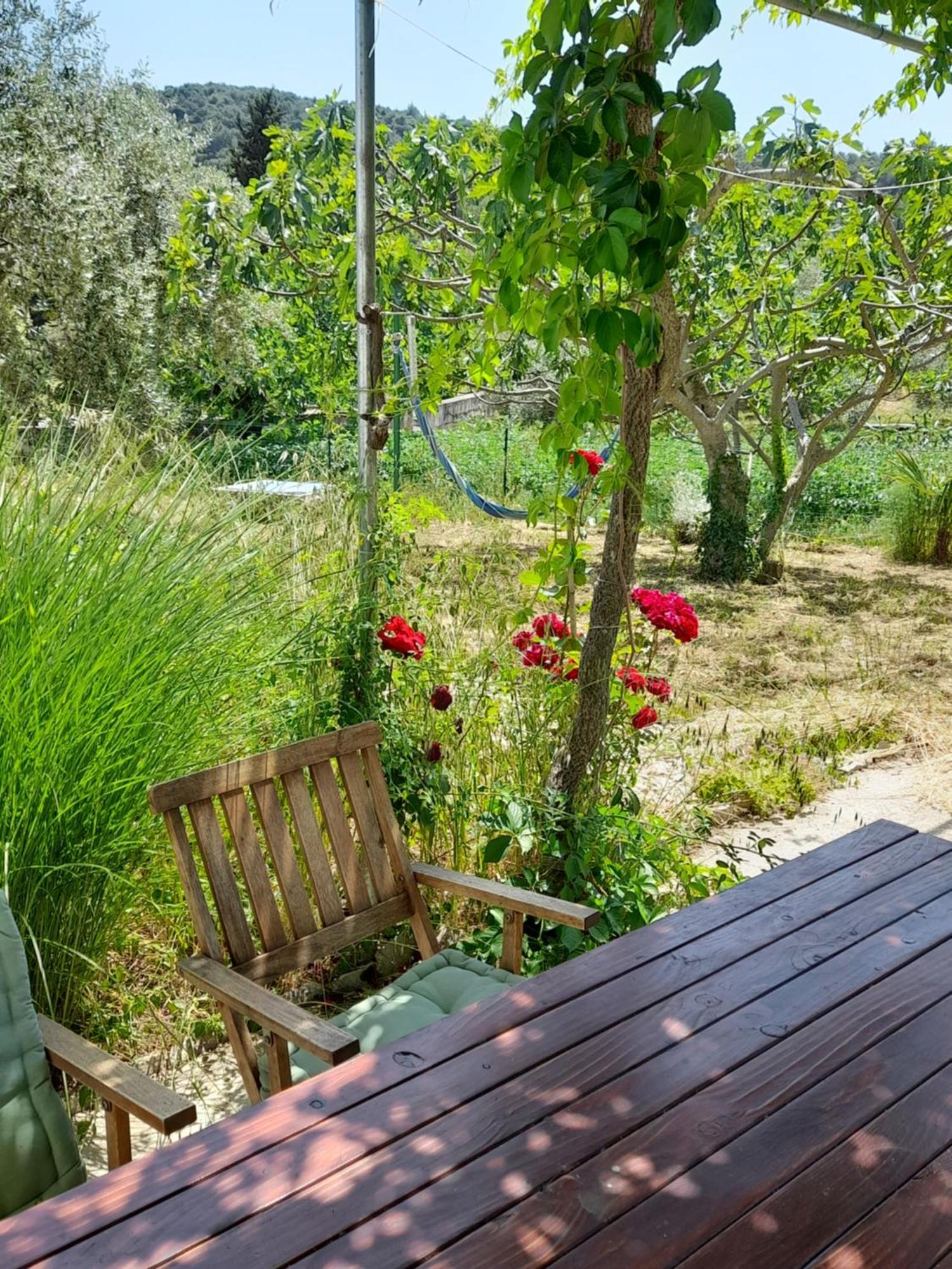 Rustic Holiday Home Miketa Lukoran Exterior foto