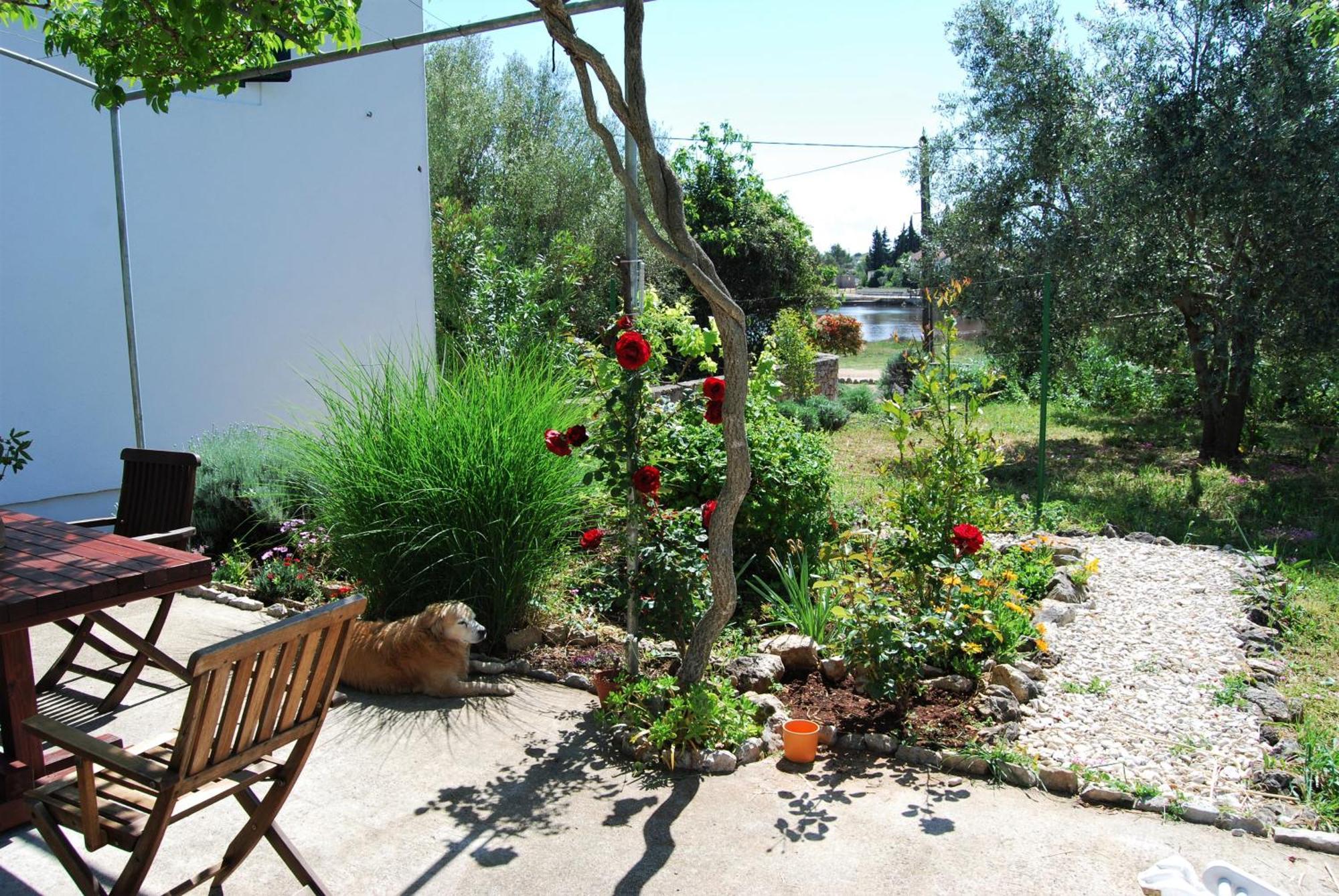 Rustic Holiday Home Miketa Lukoran Exterior foto